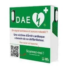 Dispositif d'alerte Géocoeur